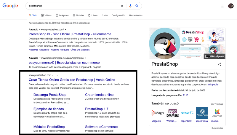 por que es importante el seo para tus negocios